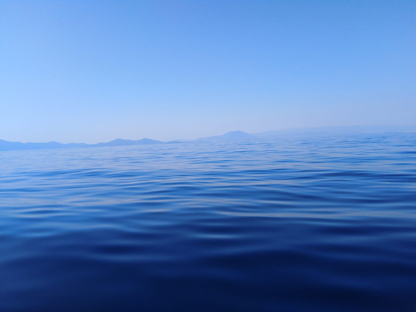 70840230_10216778335825382_3411928453803409408_n